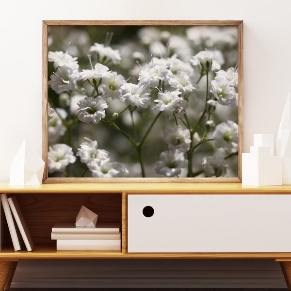 Macro of Baby's Breath Flowers - Digital Download Printable Wall Art - Photography Home Decor