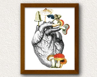 My Mushroom Heart Collage Art - Digital Download Wall Artwork - Printable Home Decor - vintage anatomical heart