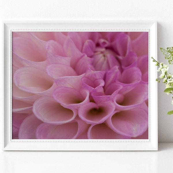 Soft Focus Pink Dahlia Flower - Digital Download Printable Wall Art - Photography Home Decor