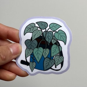 Plante Philodendron dans un sac de craie d'escalade, autocollant en vinyle résistant à l'eau, laminé brillant, découpé avec des matrices