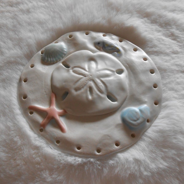 Stunning  Sanddollar & Beach Findings Base 4''  #12