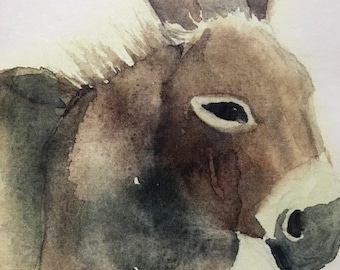 Donkey