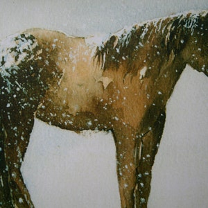 horse in snow watercolor greeting cards