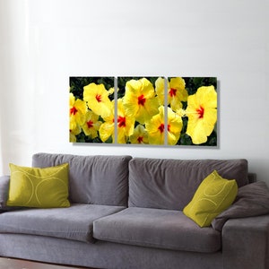 Yellow Hibiscus, a triptych print image 1