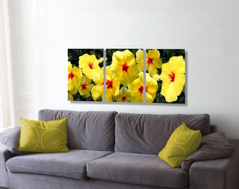 Yellow Hibiscus, a triptych print