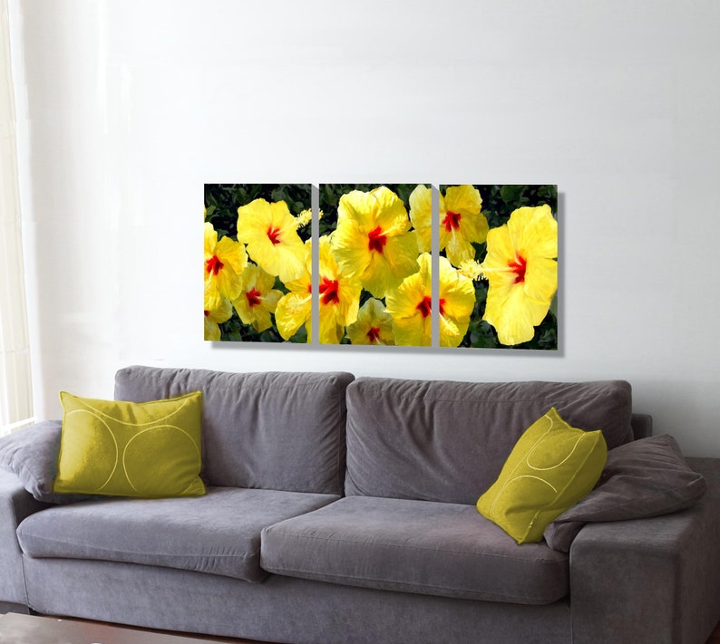 Yellow Hibiscus, a triptych print image 1