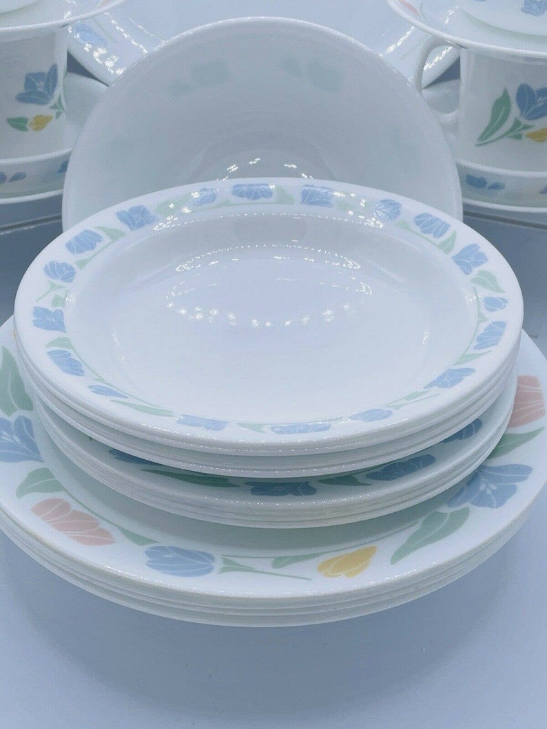 Corelle Friendship Dinnerware Set of 30 W/pasta Bowls & Luncheon Plates