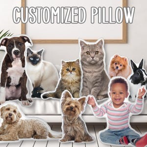 Custom 3D Pet Pillow from Photo Personalized Dog Shaped Throw Pillow, Cat Mom Gift, Personalized Pet Memorial Gift for Dog Mom Remembrance