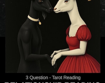 3 Question Relationship Tarot Reading: Honest Guidance