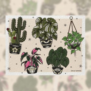 May include: Five different potted plants in a traditional tattoo style. The plants include a cactus, a monstera, a pink and green plant, a green plant with large leaves, and a hanging plant with green leaves. The plants are all in different colored pots with geometric designs.