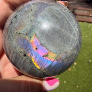 Peut inclure: Une sphère en labradorite polie, principalement grise avec des reflets irisés bleus, violets et jaunes. La pierre est tenue dans une main. L'arrière-plan montre une pelouse verte. Diamètre d'environ 7 cm.