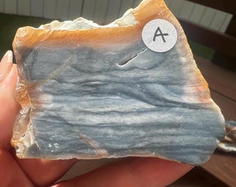 Förstenade/fossiliserade träplattor i regnbågsfärg