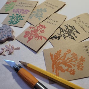 Puede incluir: Sobres de semillas de papel kraft con ilustraciones bot&aacute;nicas en varios colores, incluyendo verde, rosa y naranja. Tambi&eacute;n hay una herramienta de tallado, un l&aacute;piz y un sello tallado.