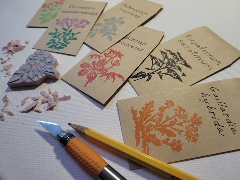 Puede incluir: Sobres de semillas de papel kraft con ilustraciones bot&aacute;nicas en varios colores, incluyendo verde, rosa y naranja. Tambi&eacute;n hay una herramienta de tallado, un l&aacute;piz y un sello tallado.