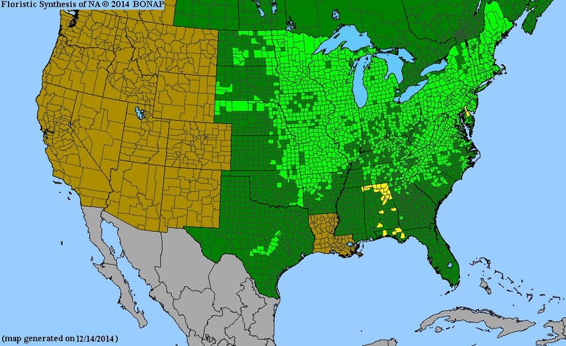 Puede incluir: Un mapa de los Estados Unidos con regiones codificadas por colores. El mapa muestra &aacute;reas en tonos de verde, amarillo y marr&oacute;n, con un fondo azul que representa cuerpos de agua. El texto "Floristic Synthesis of NA &copy; 2014 BONAP" est&aacute; en la parte superior.
