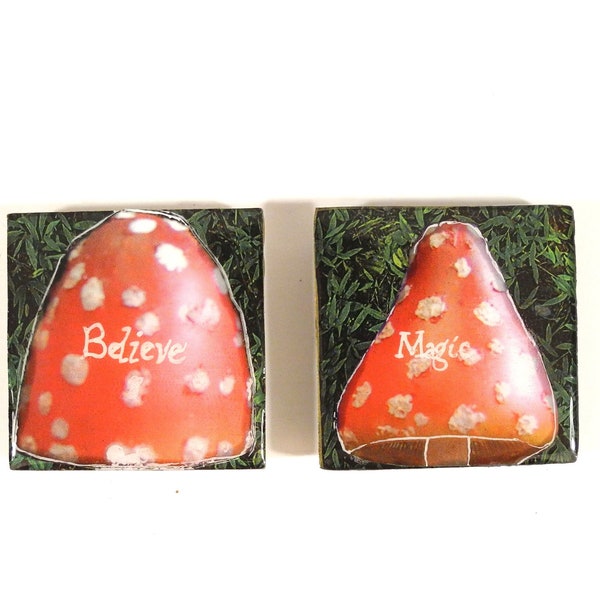 Magic Mushroom recycled tile magnet set, fly agaric mushroom, collectors magnets