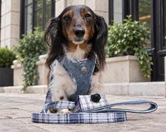 May include: A long-haired dachshund wearing a blue quilted denim harness with a silver button detail. A matching blue and white plaid leash with a small rectangular waste bag dispenser is positioned in front of the dog on the ground.