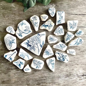 Puede incluir: Colección de fragmentos de cerámica blanca con diseños florales azules. Los fragmentos, de diversas formas y tamaños, presentan ilustraciones detalladas de flores, hojas y ramas. Dispuestos sobre una superficie de madera envejecida.