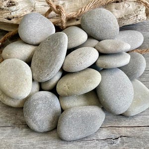 May include: A collection of smooth, gray river rocks of varying sizes. The stones are arranged on a weathered wooden surface, with a piece of driftwood and a length of rope in the background. A white flower is visible on the left.
