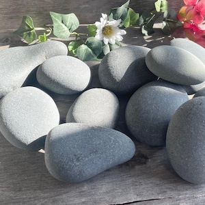 Pode incluir: Uma coleção de pedras de rio cinzentas e lisas de vários tamanhos. As pedras estão dispostas sobre uma superfície de madeira envelhecida, com alguns ramos de vegetação e flores cor-de-rosa no fundo. As rochas têm um aspeto natural e orgânico.
