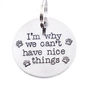 以下が含まれることがあります： テキスト「I'm why we can't have nice things」と、その周りに肉球の跡が刻まれた銀製の犬用タグです。
