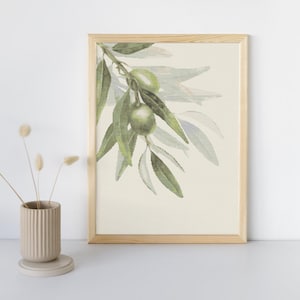 Puede incluir: Una impresión enmarcada que presenta una ilustración en acuarela de una rama de olivo con aceitunas y hojas verdes. La obra de arte está sobre un fondo crema y enmarcada en madera natural. Un pequeño jarrón con flores secas está en primer plano.