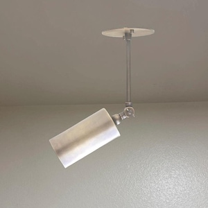 Brass Spotlight: Directional Ceiling Lamp, Edison Bulb Included