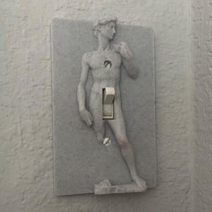 Statue of David Renaissance Light Switch Cover – Funny 3D Print Gag Gift