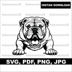 Mascota del equipo deportivo de la escuela secundaria Bulldog, SVG, PNG, JPG, PDF, diseño de gráficos vectoriales, corte, impresión, sublimación de tinta, archivos digitales láser
