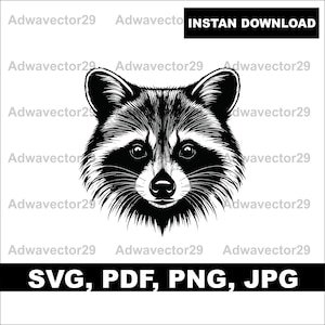 Raccoon Design svg png jpg pdf, cute racoon victoria cricut logo vinyl decals SVG PNG EPS Clipart Vector Cut Cutting File