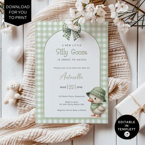 Silly Goose Baby Shower Invitation, Printable Baby Shower Invite, Editable Mother Goose Invite for Baby Boy, Green Gingham, BS304