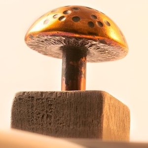 Copper Mushroom with Wood Stand