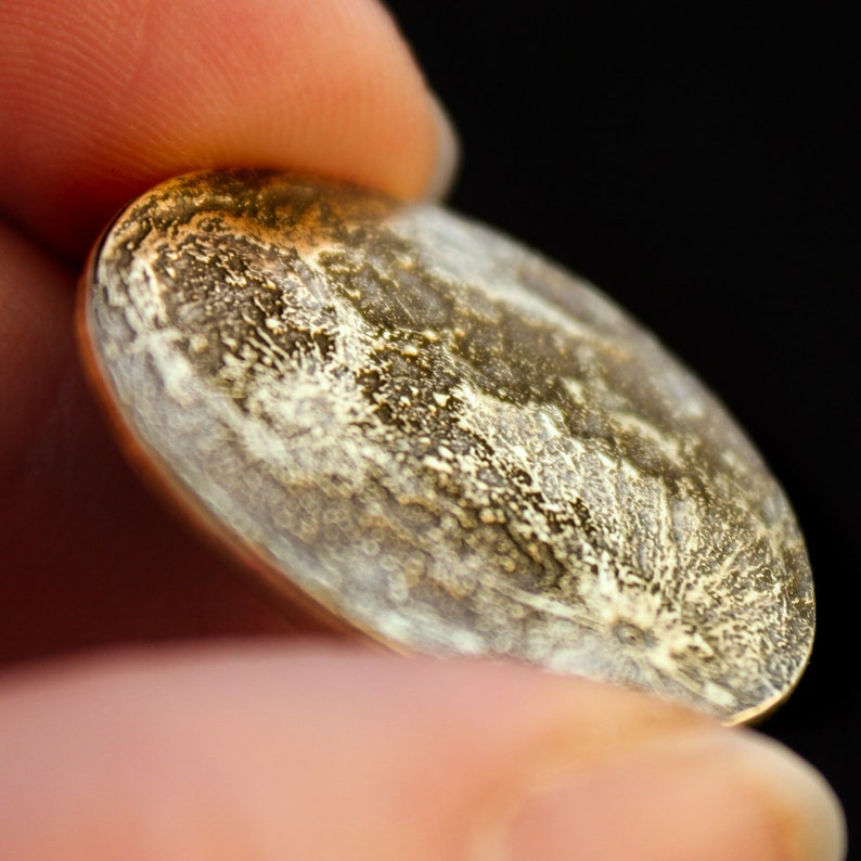 Five 1 Brass Moon Coins Harvest Moon Bundle Bulk Gifts image 9