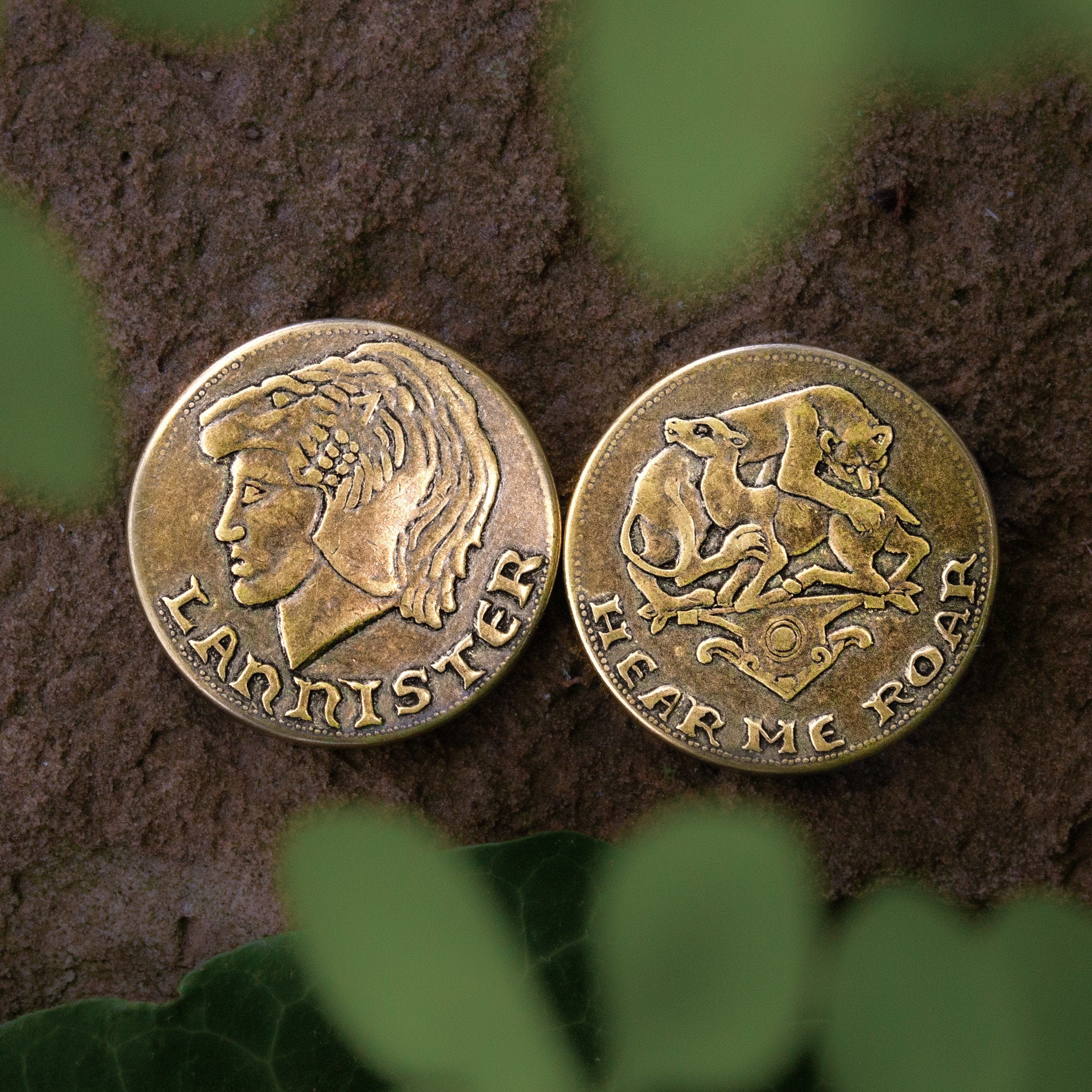 Lion Castle Coin   Etsy