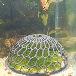 May include: A black plastic dome-shaped plant propagation cage with a hexagonal mesh pattern. The cage is sitting on a bed of white gravel and is filled with green moss.