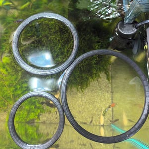 水槽用浮遊植物リングセット | 浮遊植物の管理と整理