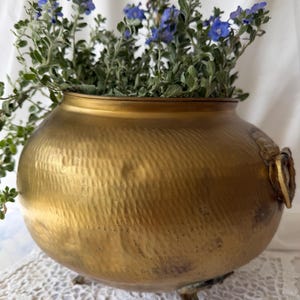 Puede incluir: Una maceta redonda de latón martillado con una abertura ancha y un acabado dorado metálico. El recipiente cuenta con pequeños pies de metal ornamentados en la base y asas laterales decorativas. Contiene una planta verde con flores azules.