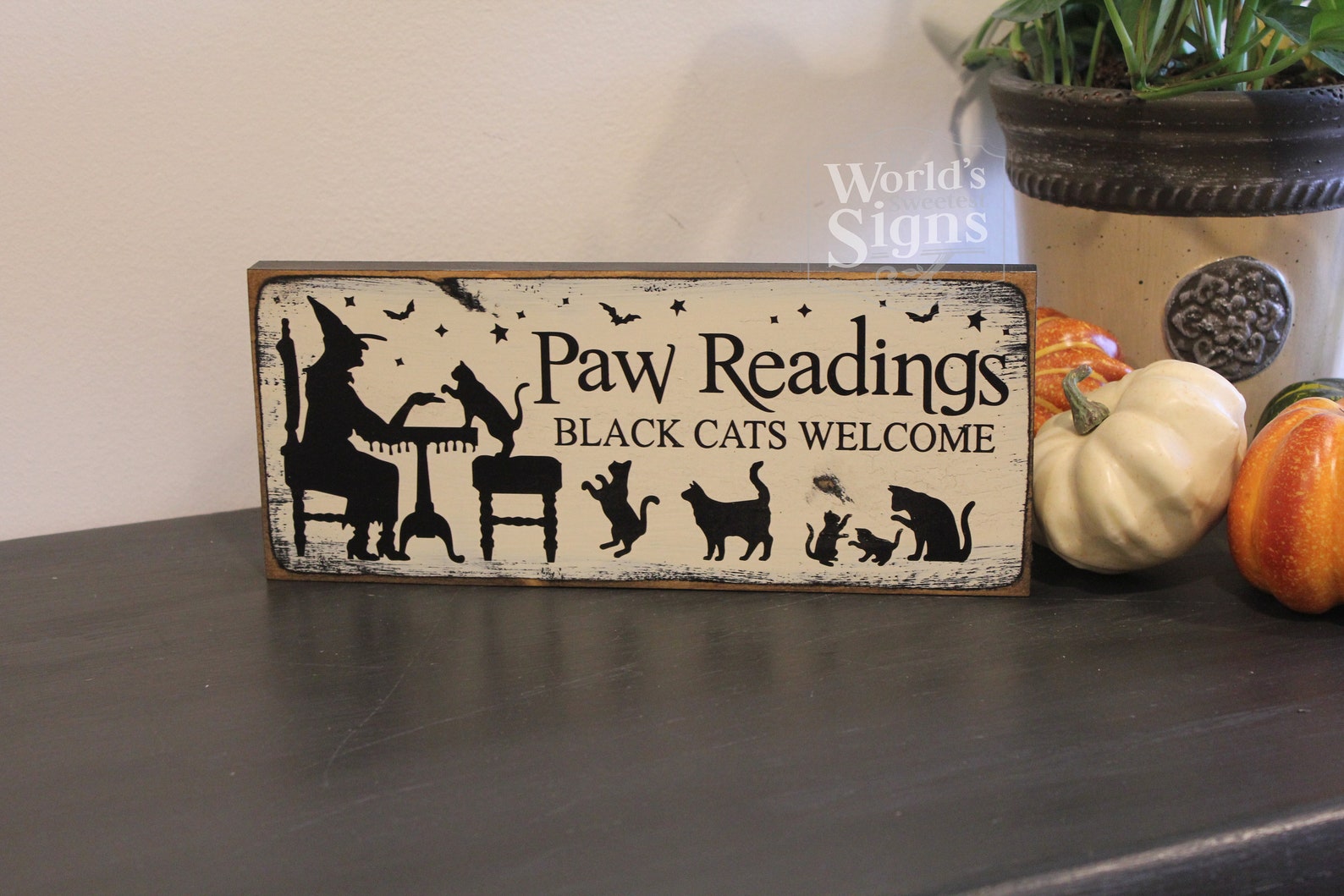 Paw Readings Witch Sign