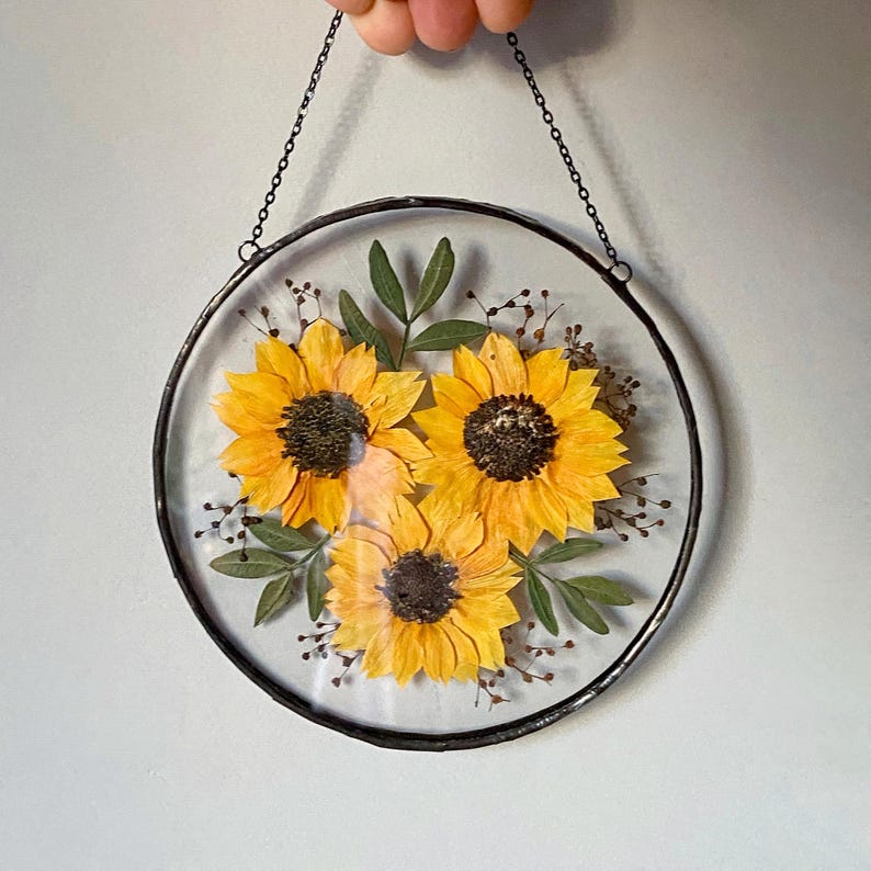 Op de afbeelding: Ronde glazen wanddecoratie met drie geperste gele zonnebloemen met donkerbruine centra. De bloemen zijn omgeven door groene bladeren en kleine bruine knoppen, ingekapseld in een zwart metalen frame en opgehangen aan een ketting.