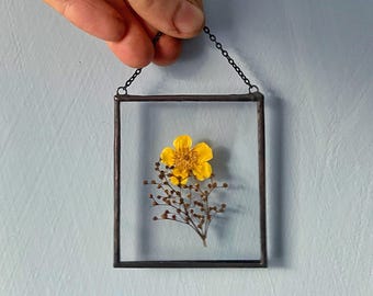 Gebrandschilderd glas boterbloem - drijvend frame geperste bloem