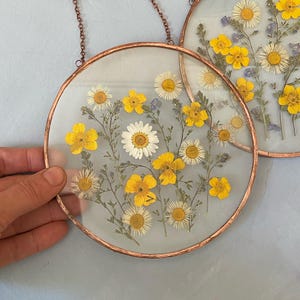 Pressed Forgetmenots, Daisies and Buttercups Stained Glass Frame: Handmade Floral Art
