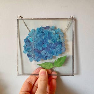 Pressad blå hortensiaram - Bara för att gåva, målat glaspanel, väggbonad med blommotiv (12x12 cm)