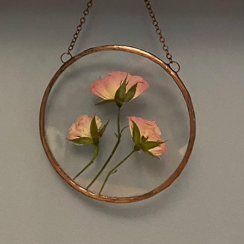 May include: A circular wall hanging featuring three pressed pink rosebuds encased between two clear glass panes. The glass is framed in a thin copper metal border and suspended by a matching copper-colored metal chain for display purposes.