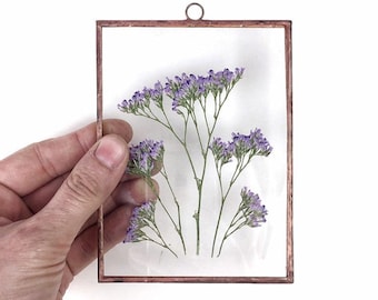 Pressed flower Art - Dried Purple Caspia In Copper Floating Frame