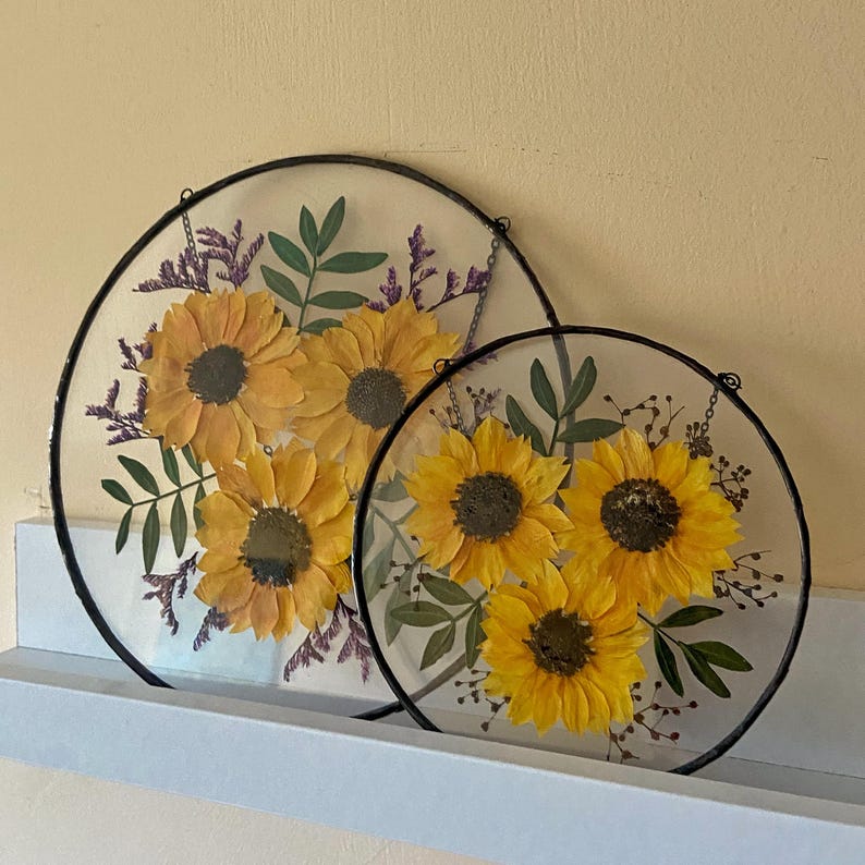 Op de afbeelding: Twee ronde glazen wanddecoraties met geperste gele zonnebloemen, groene bladeren en paarse accenten. Het glas is omlijst met een zwarte metalen rand en heeft een ketting om op te hangen. De zonnebloemen zijn het middelpunt.