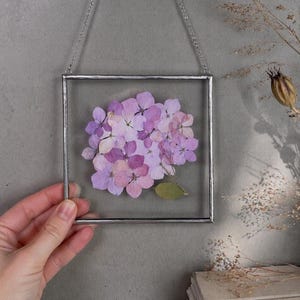 Pressad rosa hortensiaram - målat glaspanel, väggbonad med blommotiv (12x12 cm)