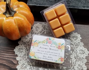 Autumn Harvest Soy Melts