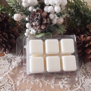 Holiday Sparkle Melts, Tarts, Holiday Scented wax, Winter, Yule, Christmas
