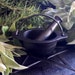 Cast Iron Mortar and Pestle 