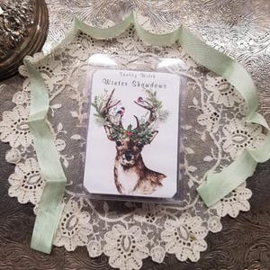 Winter Shadows Soy Wax Melts, Winter Melts, Christmas Melts, Yule Melts